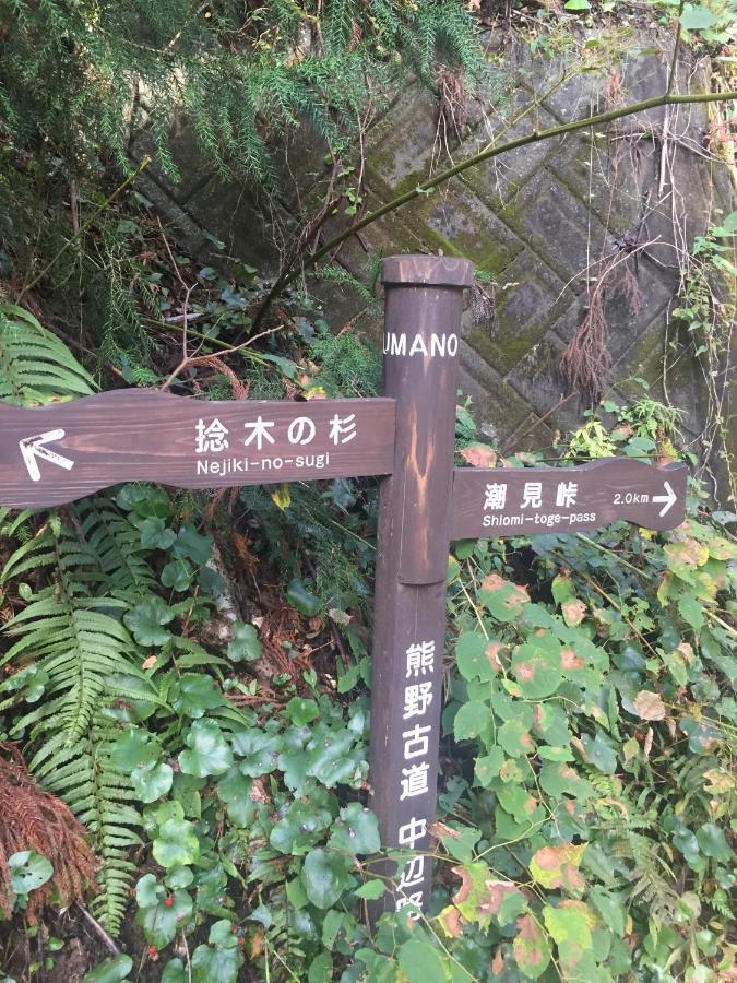 Kumano Winery Guest House Tanabe Bagian luar foto